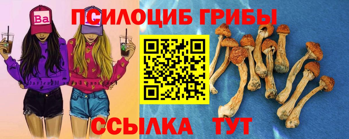 Нижнеудинск  Галлюциногенные грибы Psilocybine cubensis  Вход с VPN 